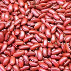 लाल राजमा