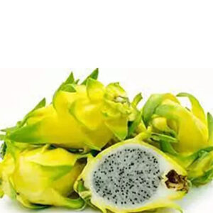 पिताया