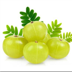 चैकेयीया आवला