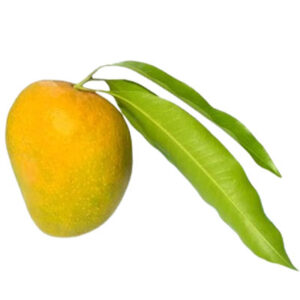 हापुस