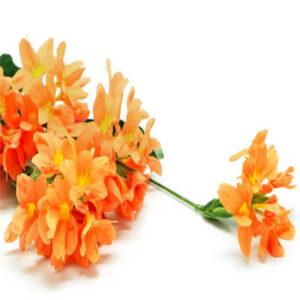 Crossandra (अबोली गुलाब)