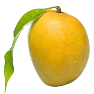 हिमसागर