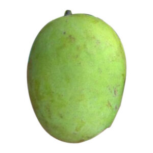 मालदा