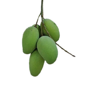 आल टाईम (खट्टा