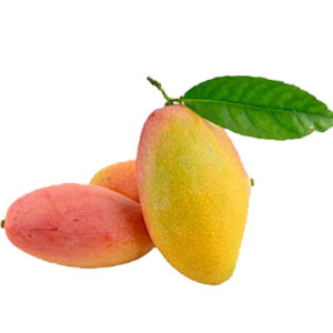 आल टाईम ( स्वीट कटिमोनि )
